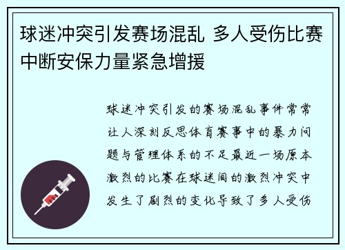 球迷冲突引发赛场混乱 多人受伤比赛中断安保力量紧急增援