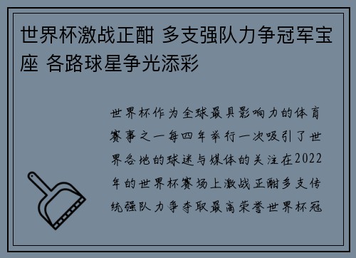 世界杯激战正酣 多支强队力争冠军宝座 各路球星争光添彩