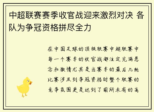 中超联赛赛季收官战迎来激烈对决 各队为争冠资格拼尽全力
