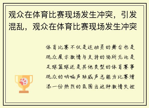 观众在体育比赛现场发生冲突，引发混乱，观众在体育比赛现场发生冲突,引发混乱的原因
